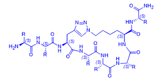 Peptide synthesis company_Click peptide