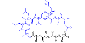 Peptide manufacturing_Cyclosporine analog