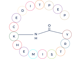 Custom peptide synthesis_Sidechain to tail