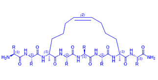 RCM monocyclic peptide