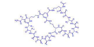 Custom peptide synthesis_Bicyclic peptide