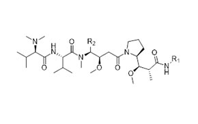 Peptide synthesis_image1