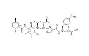 Custom peptide synthesis_image4